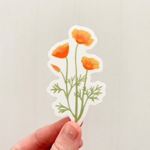 California State Flower Sticker, California State Flower, California Poppy Sticker, California Poppy Sticker, California Poppy image 2