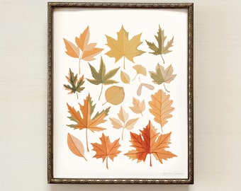 Autumn Leaves Art Print, Fall Leaves Decor, Autumn Wall Art, Fall Artwork, Fall Leaves Chart, Fall Leaves Picture, Fall Leaves Painting