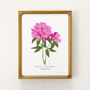 West Virginia State Flower Print | West Virginia State Flower, Rhododendron Flower Art Print, West Virginia Rhododendron