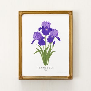 Tennessee State Blumendruck | INDIVIDUALISIERBAR | Tennessee State Blume, Iris Kunstdruck, Tennessee Iris Druck