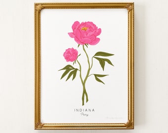 Indiana State Flower Print | CUSTOMIZABLE | Peony Print, Indiana State Flower, Peony Art Print, Indiana Peony Print, Indiana Hometown Art
