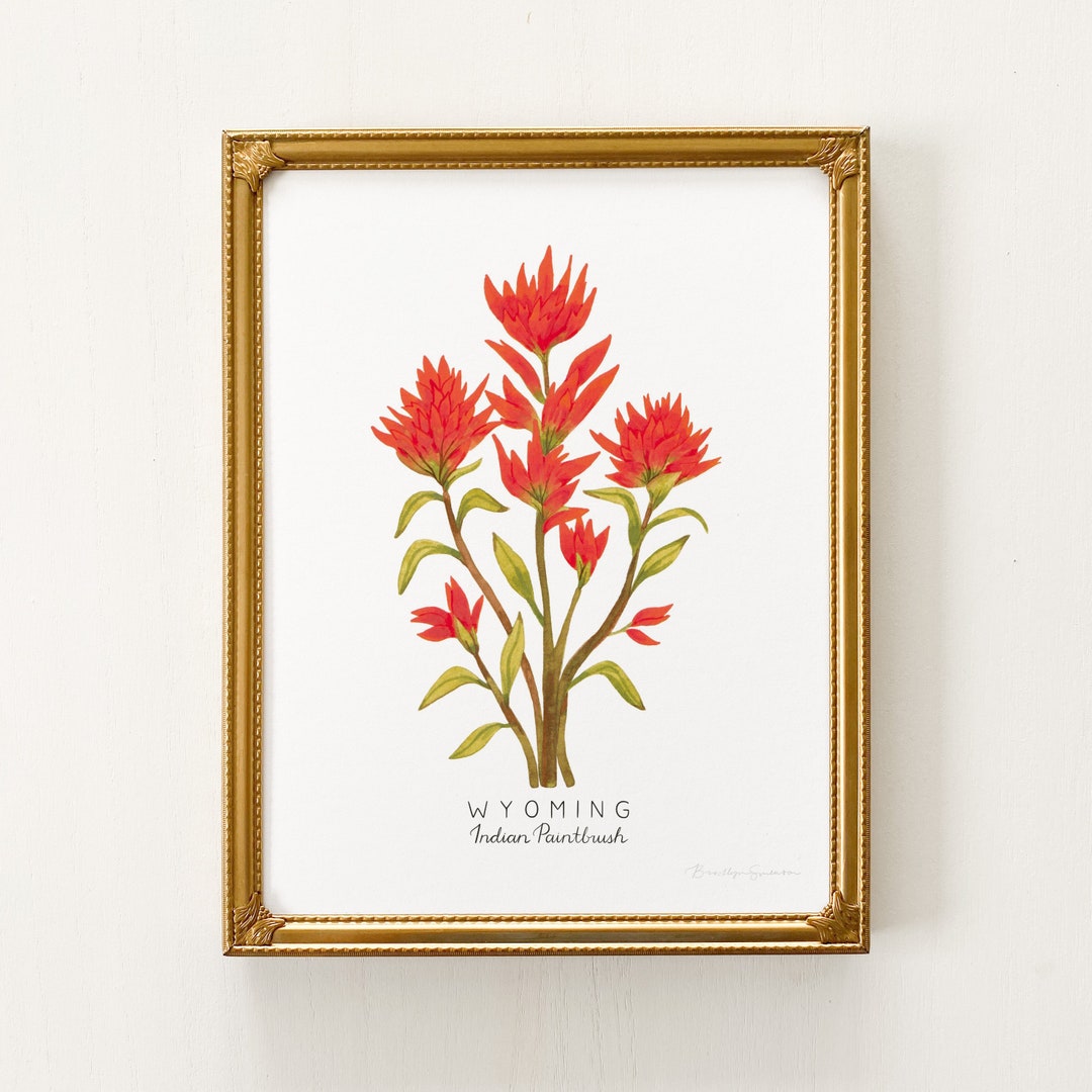 Wyoming State Flower Print Wyoming State Flower Art Wyoming - Etsy
