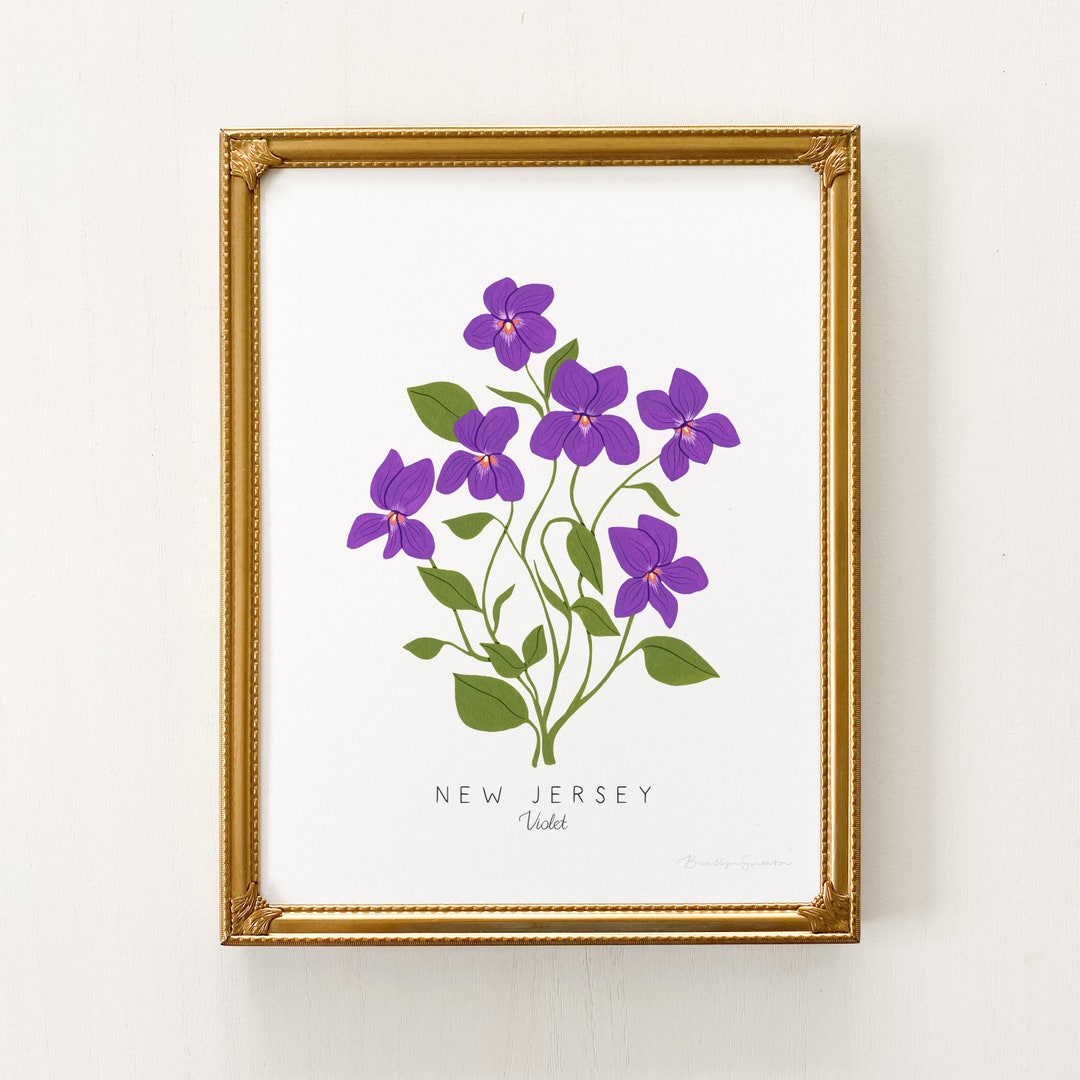 New Jersey State Flower Print CUSTOMIZABLE Violet Print, New Jersey