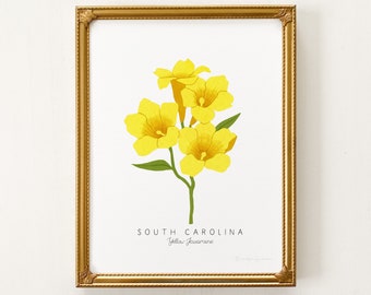 South Carolina State Flower Print | CUSTOMIZABLE | Yellow Jessamine Print, South Carolina State Flower, Jessamine Art Print