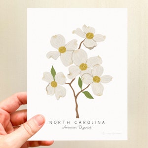 Puede incluir: Una ilustraci&oacute;n de la flor del estado de Carolina del Norte, el cornejo americano, en blanco y verde. El texto "NORTH CAROLINA" y "American Dogwood" est&aacute; debajo de la ilustraci&oacute;n.