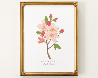 Può includere: Una stampa incorniciata di un fiore di melo rosa con foglie verdi e il testo "ARKANSAS Apple Blossom".