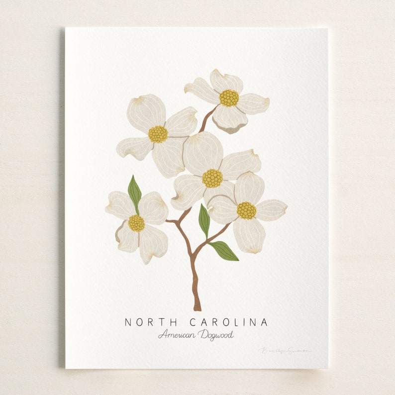 Puede incluir: Una impresi&oacute;n de flores de Cornus florida blancas y amarillas con el texto "NORTH CAROLINA" y "American Dogwood" en marr&oacute;n.
