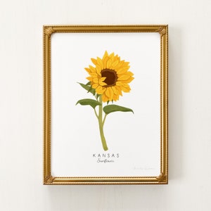 May include: A framed print of a yellow sunflower with green leaves and a stem. The print has the text "KANSAS Sunflower" at the bottom.