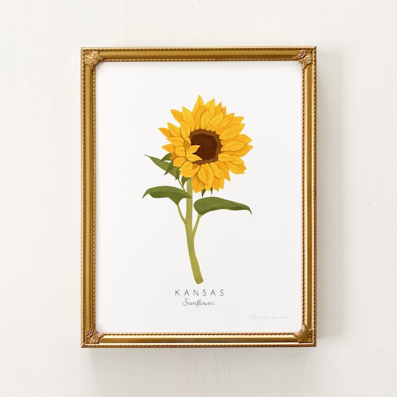 Kansas State Flower Print | CUSTOMIZABLE | Kansas State Flower Art, Kansas State Flower, Sunflower Print, Sunflower Art, Kansas State
