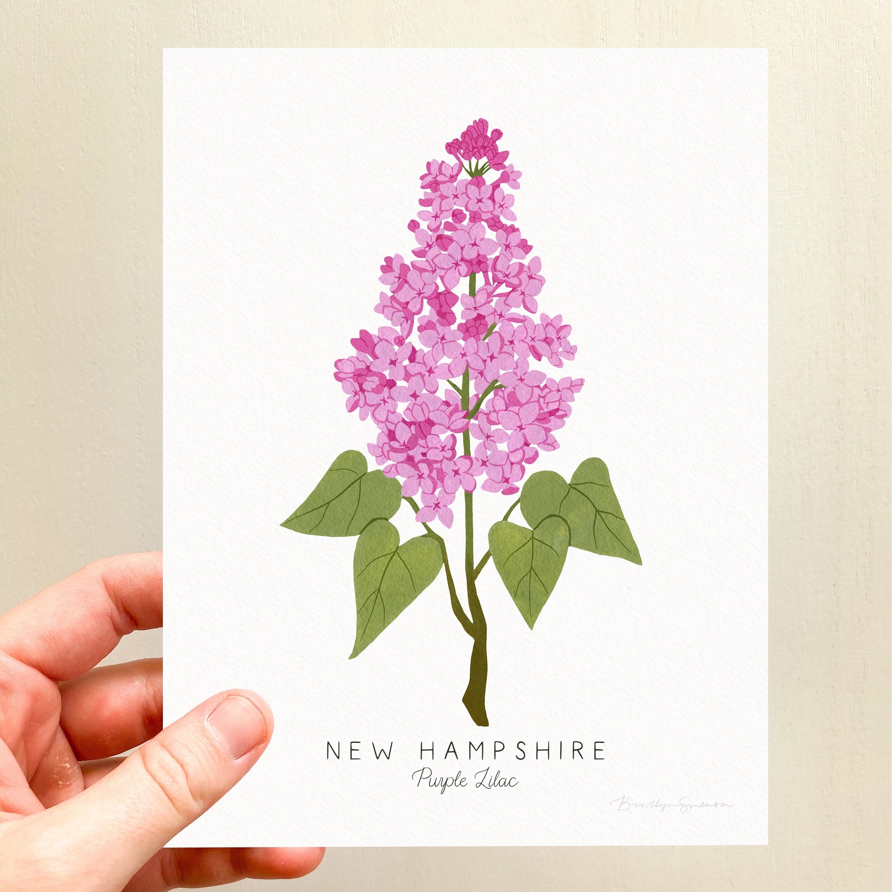 Impresión de la flor del estado de New Hampshire / PERSONALIZABLE /  Impresión de color lila morado, flor del estado de Missouri, impresión  artística de color lila, impresión de color lila de, image size:3000x3000