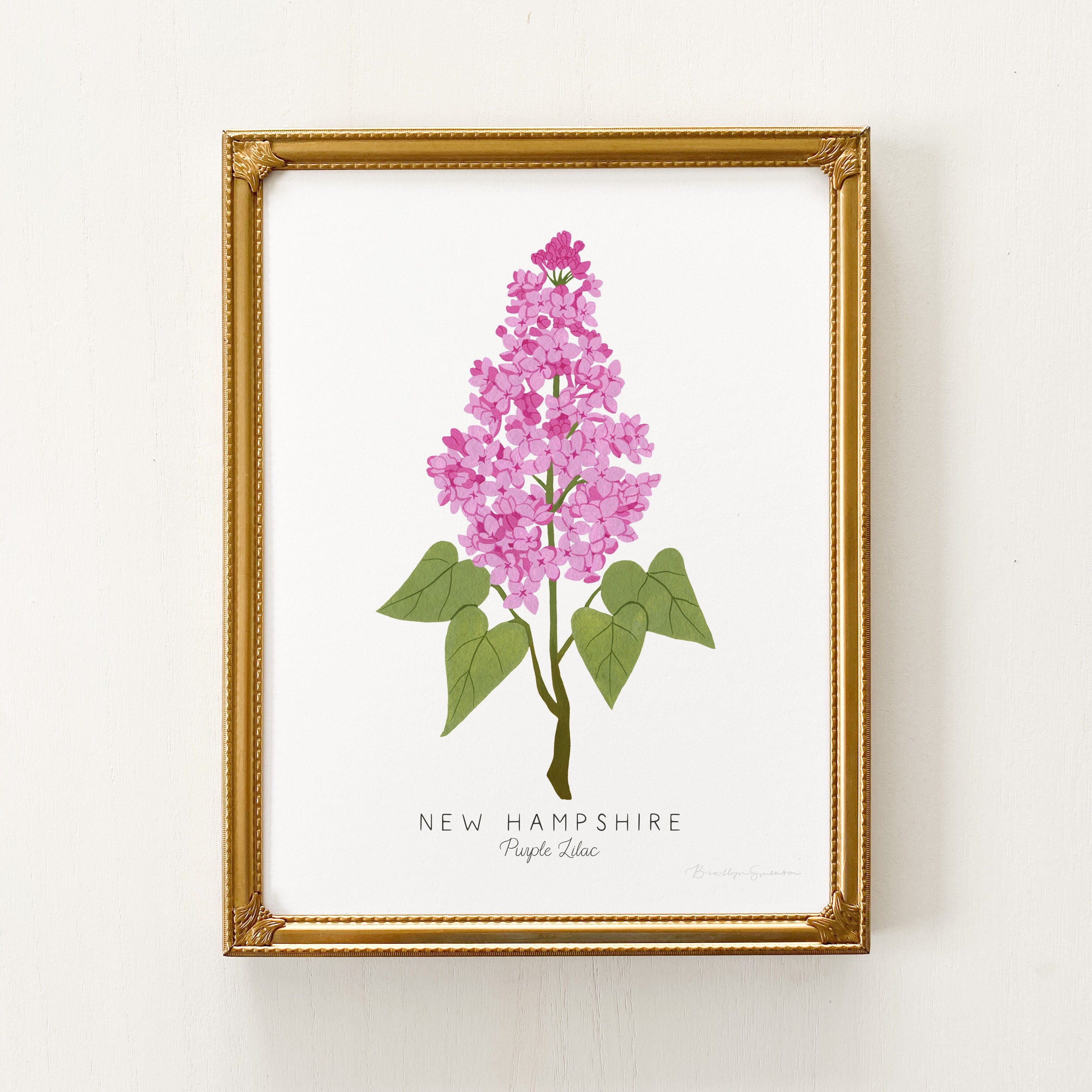 Impresión de la flor del estado de New Hampshire / PERSONALIZABLE /  Impresión de color lila morado, flor del estado de Missouri, impresión  artística de color lila, impresión de color lila de New Hampshire - Etsy  México, image size:2991x2991