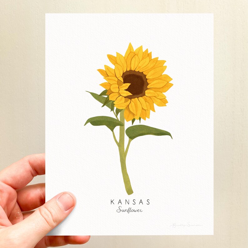 May include: A yellow sunflower with green leaves and a brown center. The text "KANSAS Sunflower" is printed below the flower.