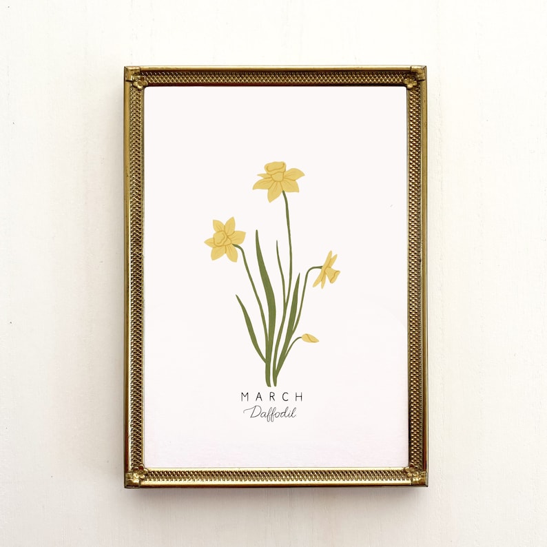 May include: A gold framed print with a white background featuring a yellow daffodil flower with green stems and leaves. The text "MARCH Daffodil" is printed below the flower.