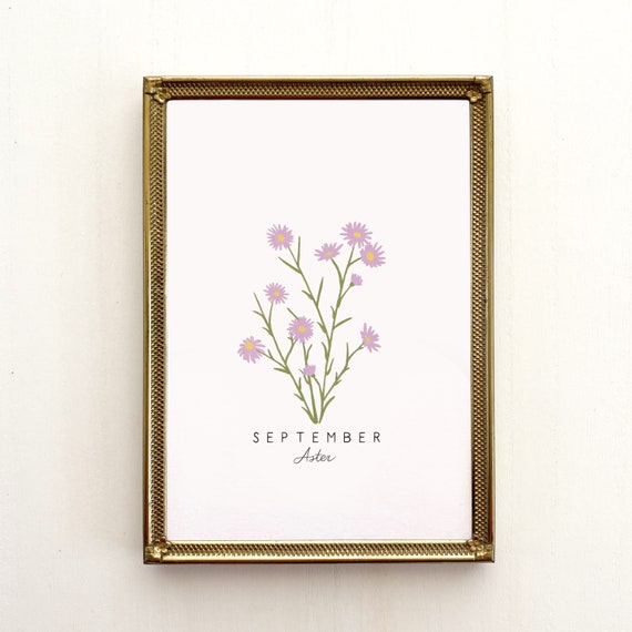 September Birth Flower Print September Birth Month Flower Asters Flower Asters Print Asters Flower Art Print Asters Art Etsy