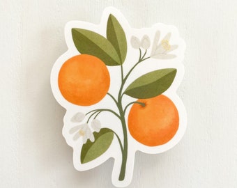 Orange Blossom Sticker | Florida State Flower Sticker, Florida State Flower, Oranges Sticker