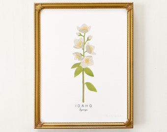 Idaho State Flower Print | CUSTOMIZABLE | Idaho Syringa State Flower, Idaho State Flower, Syringa Art Print, Mock Orange, Idaho State