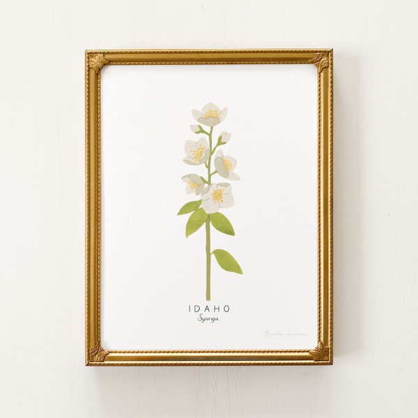 Syringa - Etsy
