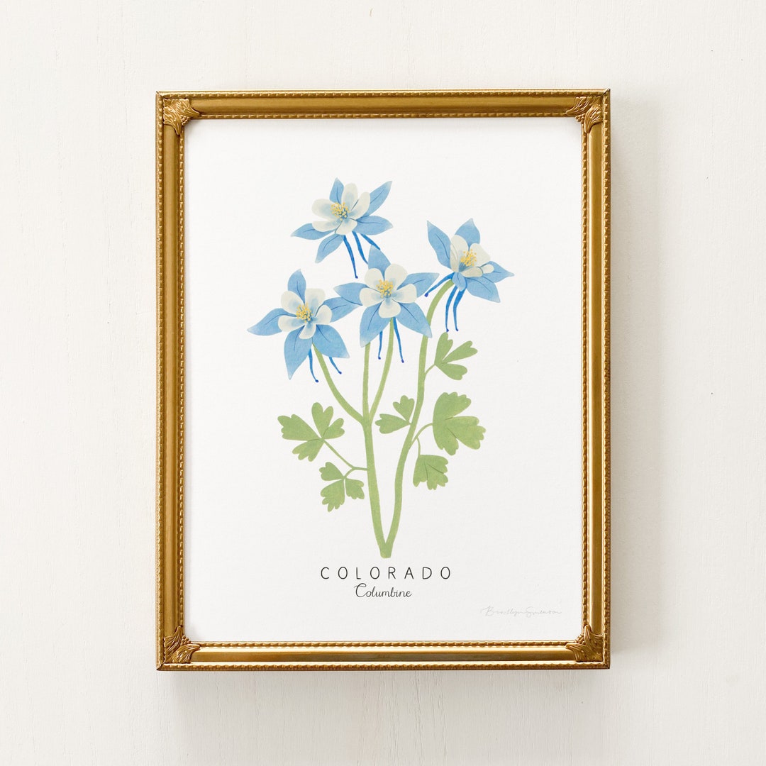 Colorado State Flower Print | CUSTOMIZABLE | Columbine Flower