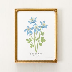 Colorado State Flower Print | CUSTOMIZABLE | Columbine Flower, Columbine Art Print, Columbine Plant, Blue Columbine, Colorado State