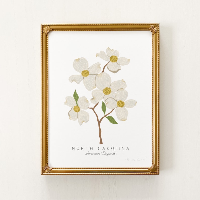 Puede incluir: Una impresi&oacute;n enmarcada que presenta una rama de cornejo en flor blanca con hojas verdes. La impresi&oacute;n tiene el texto "NORTH CAROLINA" y "American Dogwood" debajo de la imagen.