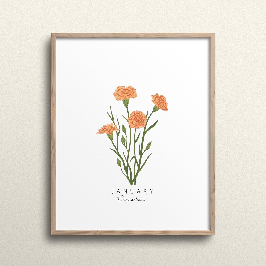 January Birth Flower Print, Carnation Birth Month Flower, Carnation