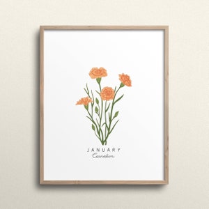 May include: A framed print featuring a botanical illustration of a bunch of orange carnations. The text "JANUARY Carnation" is printed below the flowers.