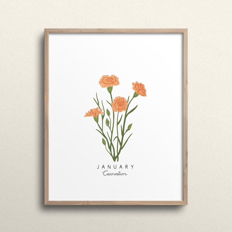 May include: A framed print featuring a botanical illustration of a bunch of orange carnations. The text "JANUARY Carnation" is printed below the flowers.
