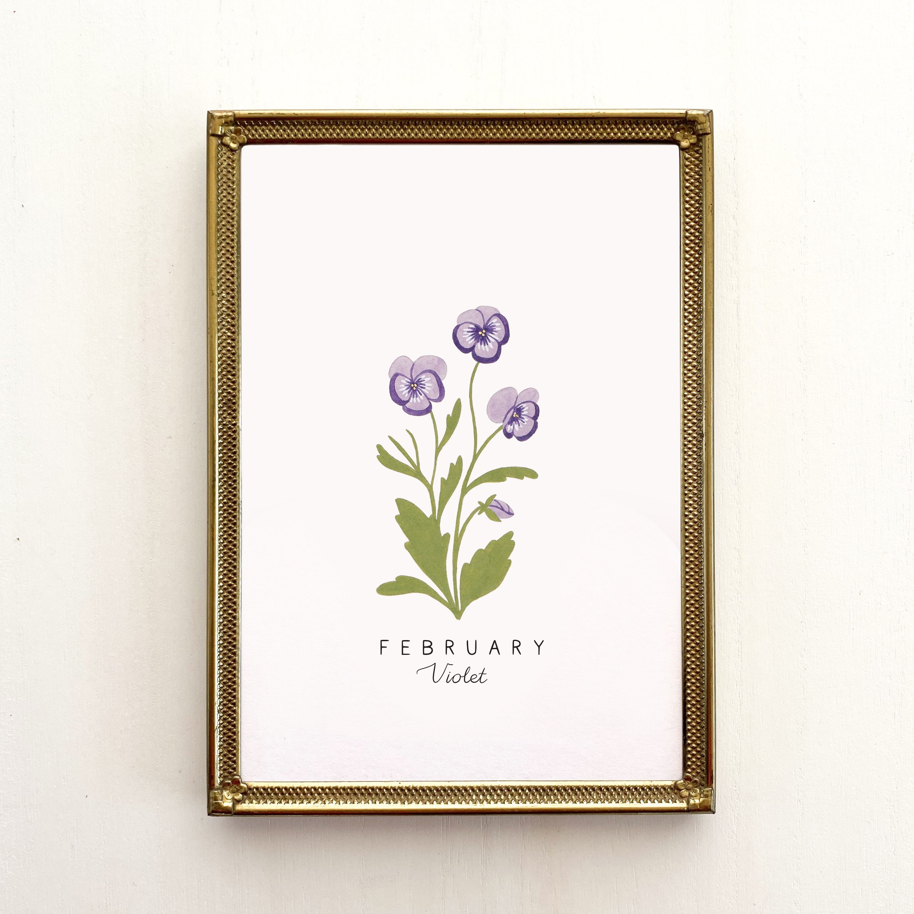 February birth month flower discount