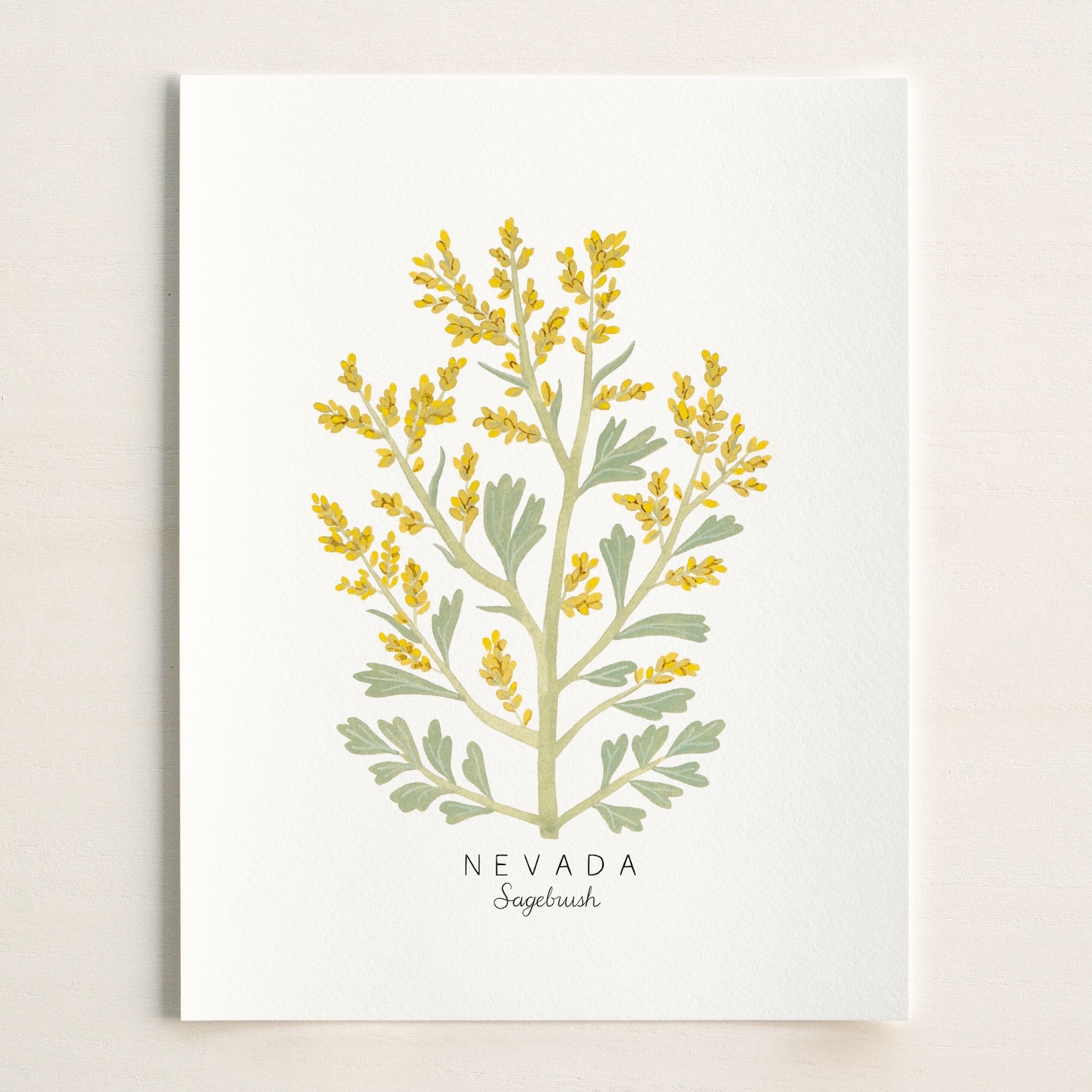 Nevada State Flower Print Nevada State Flower Art Sagebrush Etsy