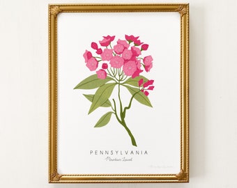 Pennsylvania State Flower Print | CUSTOMIZABLE | Mountain Laurel Print, Pennsylvania State, Laurel Art Print, Pennsylvania Laurel Print