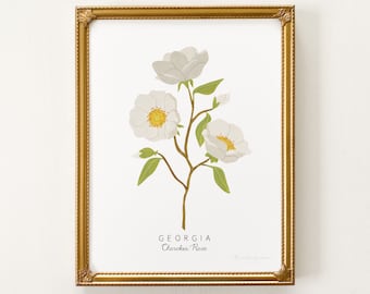 Georgia State Flower Print | CUSTOMIZABLE | Georgia State Flower Art, Cherokee Rose Art Print, Cherokee Rose Painting, Georgia State Art