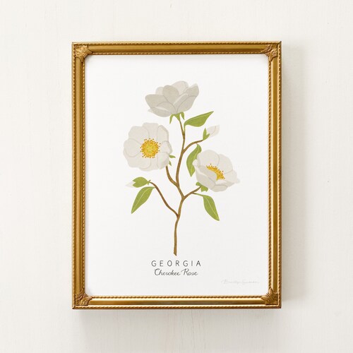 Fleur d'état de Géorgie | PERSONNALISABLE | Art floral de l'État de Géorgie, impression d'Art Rose Cherokee, peinture Rose Cherokee, Art de l'État de Géorgie