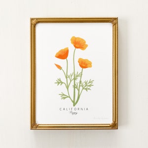 California Poppy Flower Print | CUSTOMIZABLE | California State Flower, California Poppy Flower Art Print, California Poppy Art