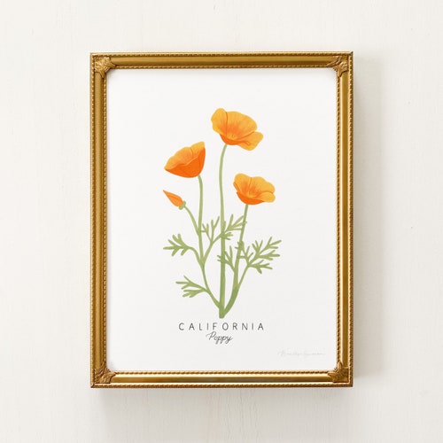 PWHAOO California Poppy Canvas Tote Bag - Reusable State Flower Gift Bag 14.2x12.6 Inch - View #8