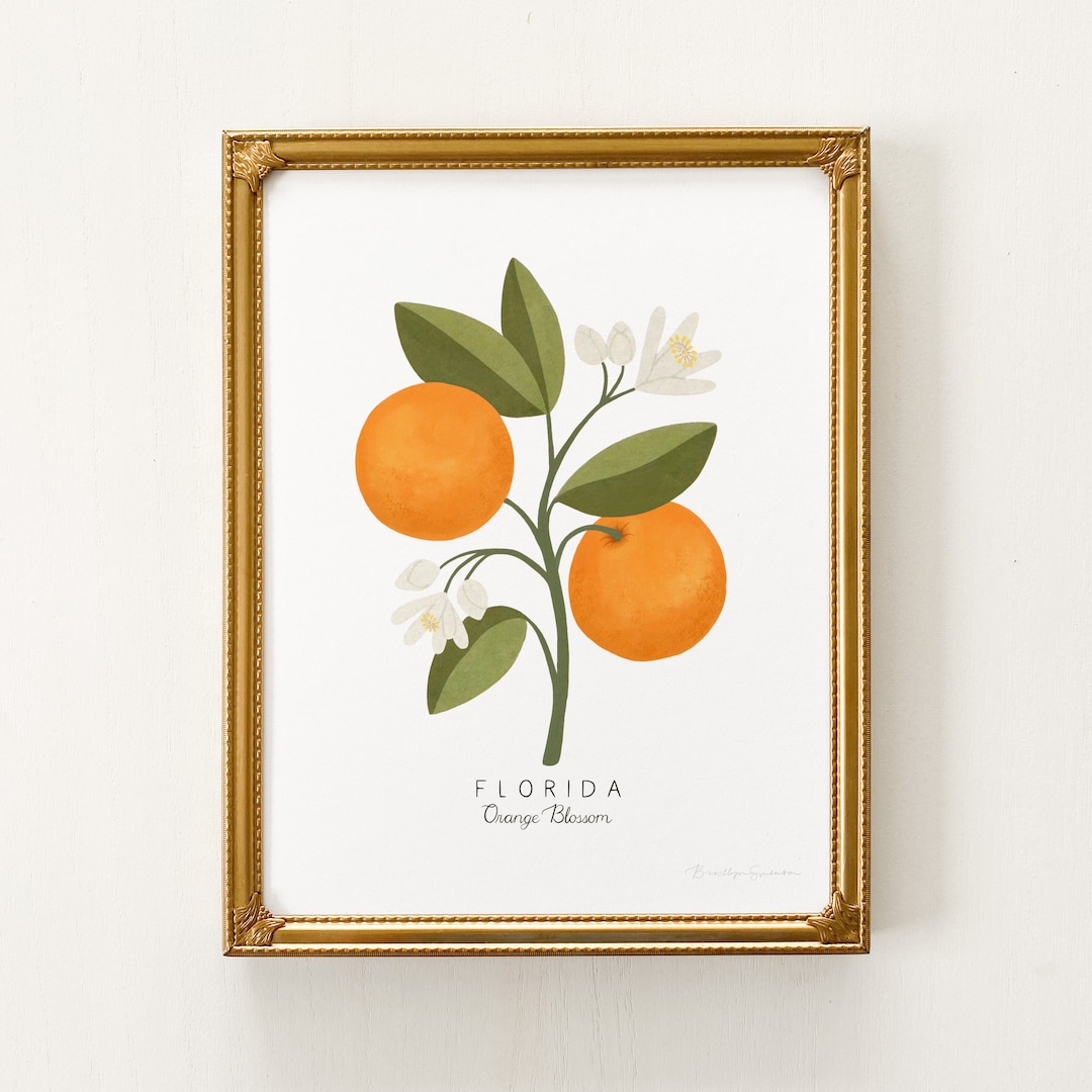 Florida State Flower Print Florida State Flower, Orange Blossom Flower