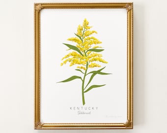 Kentucky State Flower Print | CUSTOMIZABLE | Goldenrod Print, Kentucky State Flower, Goldenrod Art Print, Kentucky Goldenrod Print