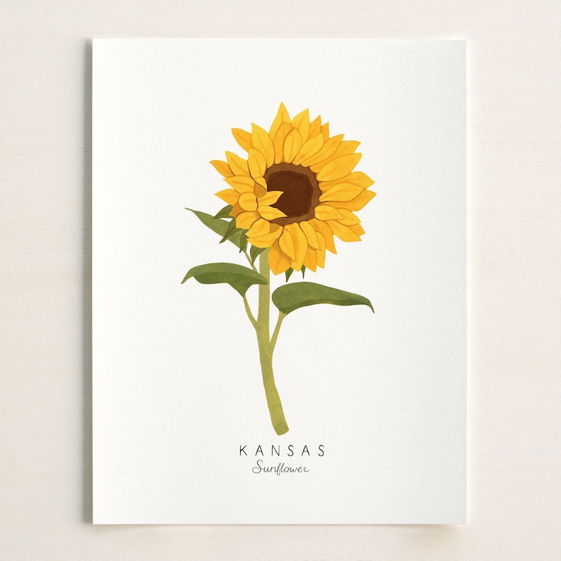 May include: A yellow sunflower with a brown center and green leaves. The text "KANSAS Sunflower" is printed below the flower.