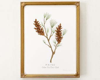 Maine State Flower Print | CUSTOMIZABLE | White Pine Cone & Tassel Print, Maine State Flower, White Pine Art Print, Maine White Pine Print