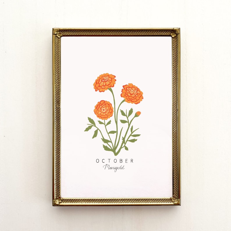 October Birth Flower Print, October Birth Month Flower, Marigold Flower, Marigold Print, Marigold Flower Art Print, Marigold Art image 1