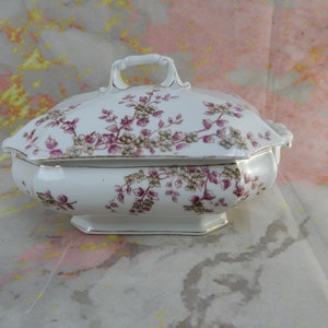 Antique Lidded Tureen Mark & Gutherz Carlsbad Austria Hand Painted And Numbered