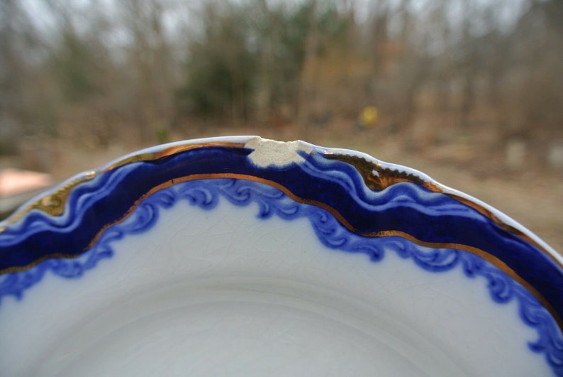 Set of Six Antique Flow Blue J/&G MEAKIN HANLEY 8-18 Plate with Chips Blue White Plate Gold Trim Plate Elegant Table Decor Dinnerware
