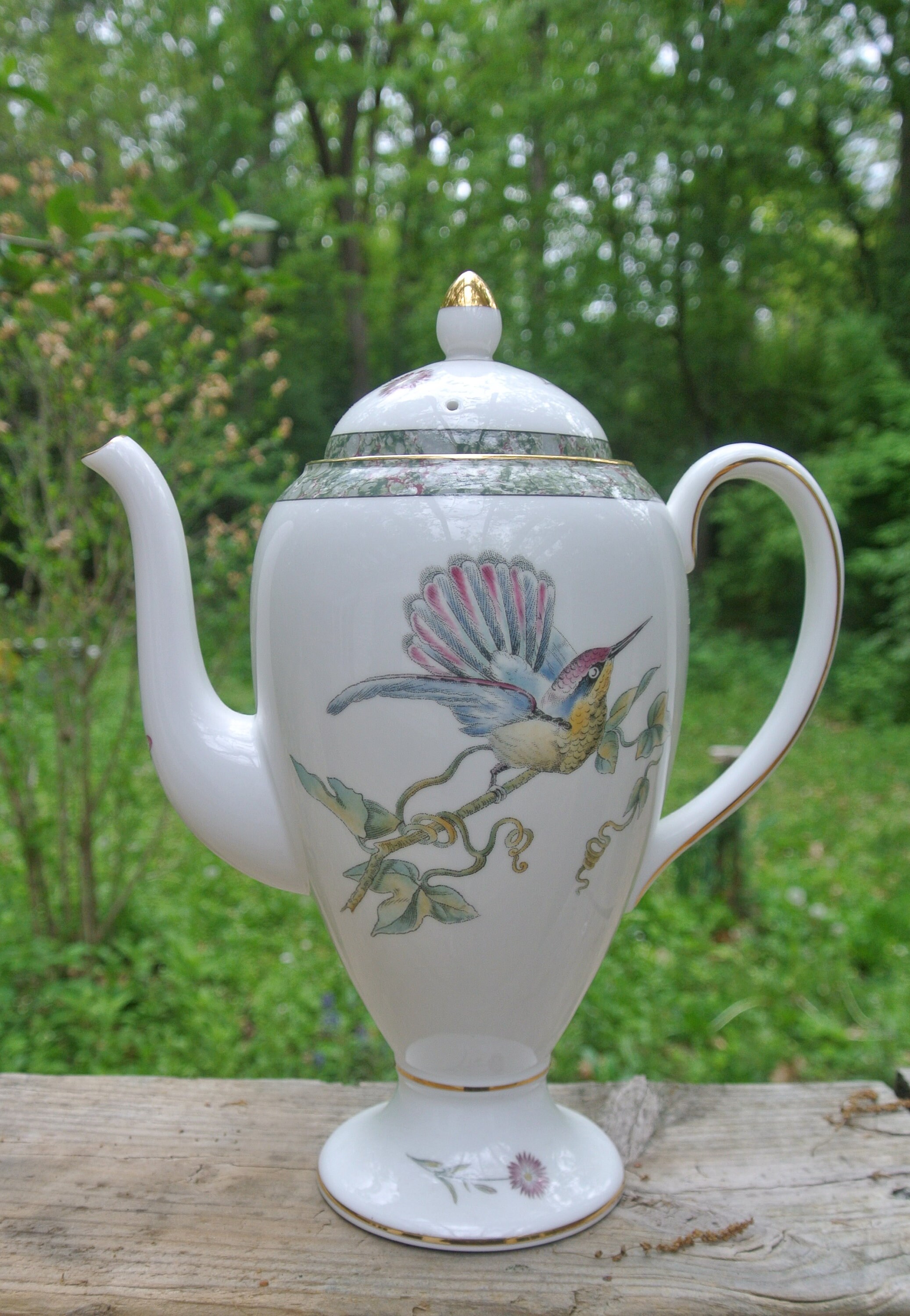Vintage Wedgwood Hummingbirds Bone China 4 Cup Coffee Pot Made Etsy