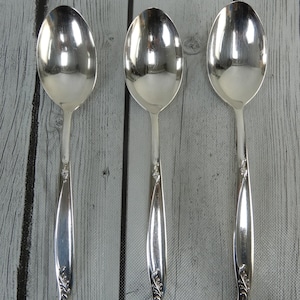 Three Serving Spoons Vintage Holmes & Edwards &quot;Woodsong&quot; Silverplate Silverware