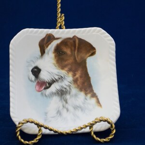 Royal Adderley &quot;Terrier&quot; Pin Tray or Coin Dish