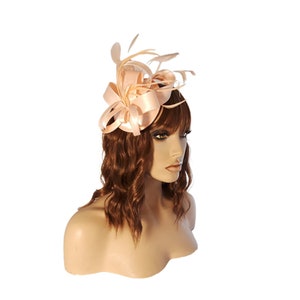 Fascinators Hat for Women Tea Party Headband Kentucky Derby Wedding Flower Cocktail Mesh Feathers Hair Clip Pink