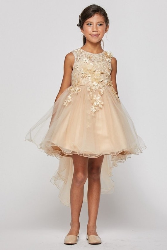 champagne flower girl dresses