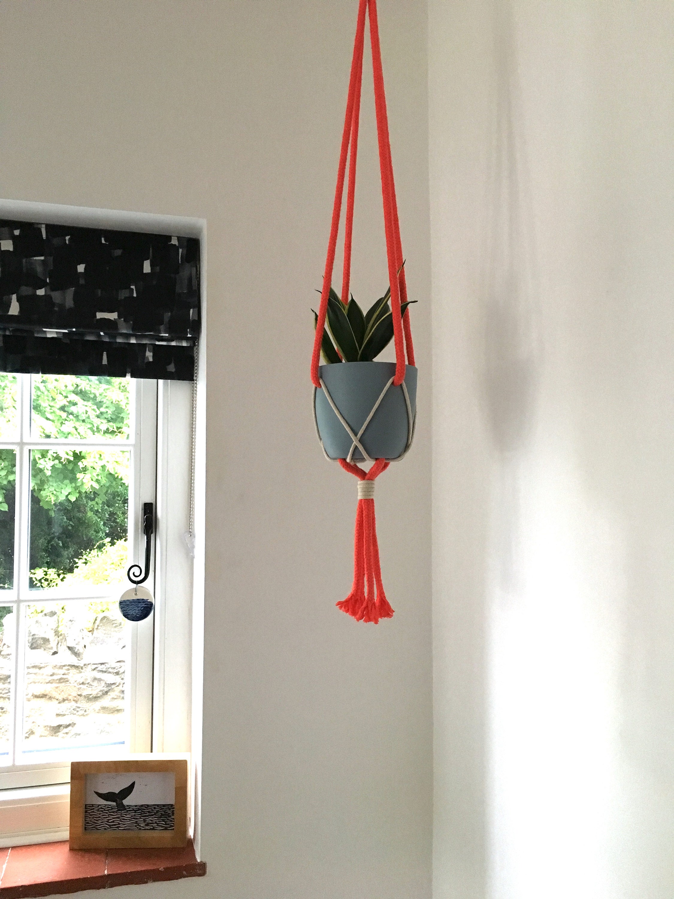 Rope Plant Hanger Including Pot Etsy