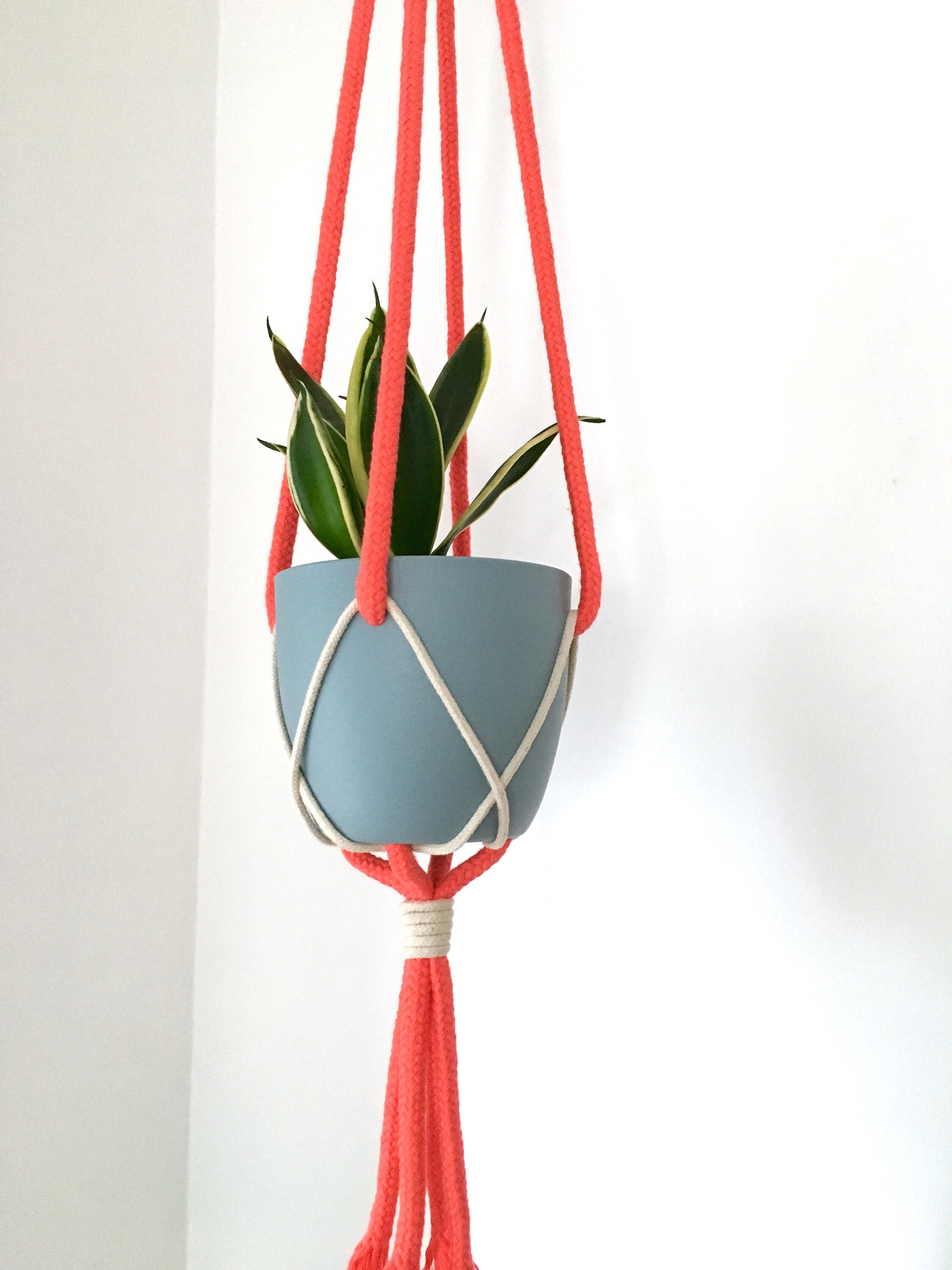 Rope Plant Hanger Including Pot Etsy