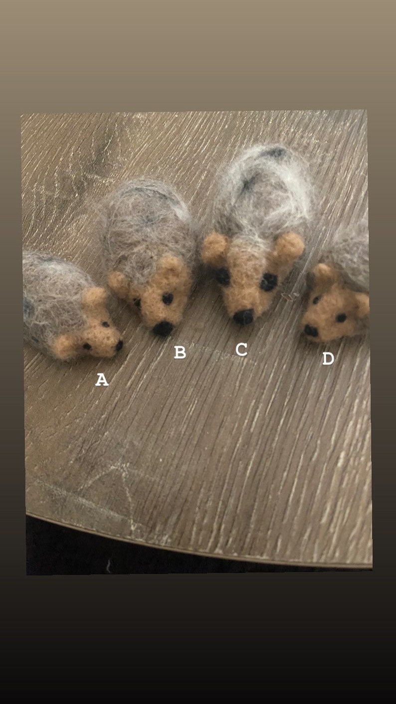 Felted Hedgehogs