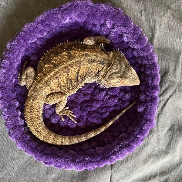 Medium reptile bed